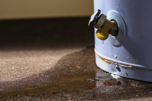 Best Water damage mitigation services  in Lemay, MO