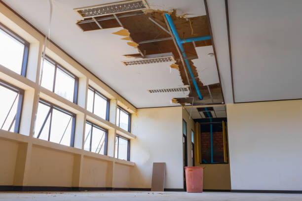 Best Emergency water damage restoration  in Lemay, MO