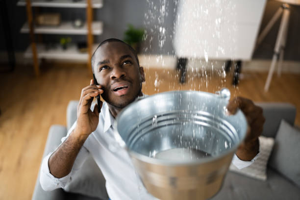 Best Water damage restoration cost  in Lemay, MO