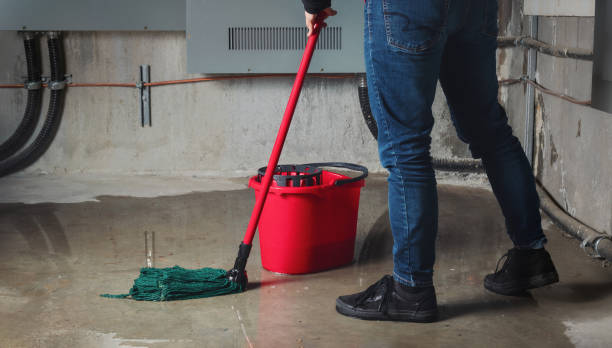 Best Flood restoration services  in Lemay, MO