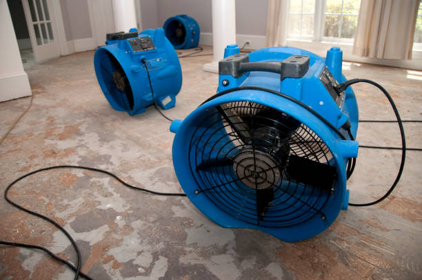Water damage restoration insurance claims in MO