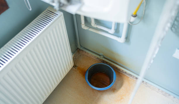 Best Fire Damage Restoration  in Lemay, MO