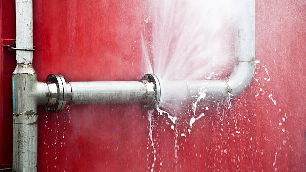 Best Residential water damage restoration  in Lemay, MO
