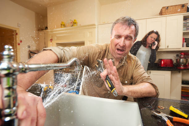Best Water damage cleanup near me  in Lemay, MO
